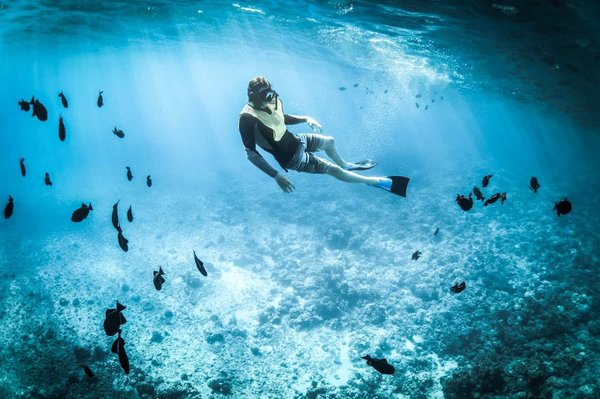 Où trouver les meilleures expériences de snorkeling dans les récifs coralliens des Caraïbes?